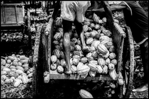 Il viaggio fotografico di Dario Vergos in Madagascar