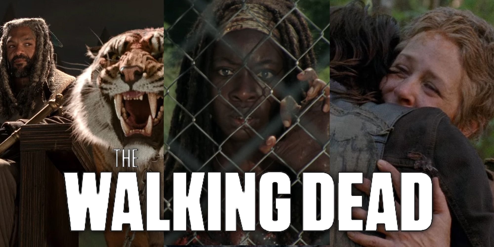 'The Walking Dead' 13 Most Rewatchable Episodes before the Finale