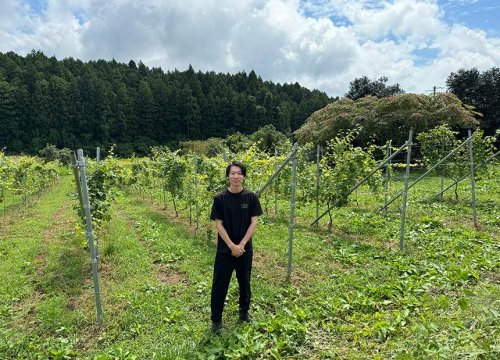 10年以上の月日を経て、陸前高田にワイナリーを誕生させるまで。