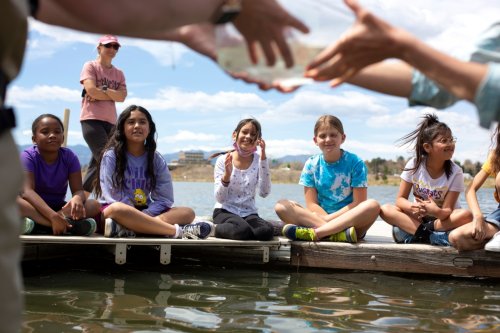 School children raised trout for Colorado’s rivers. The state had to kill a lot of the “poor buggers.”