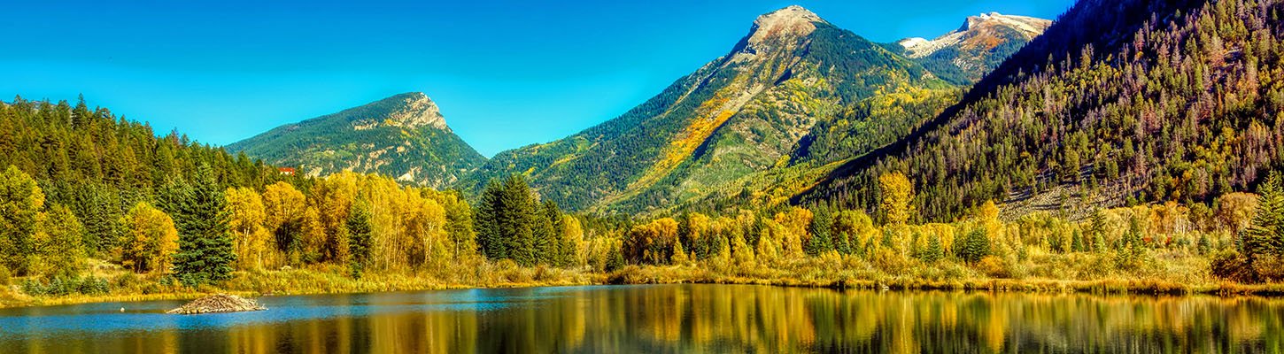 Colorado Forestry: Here's Where to Find Aspen Fall Colors
