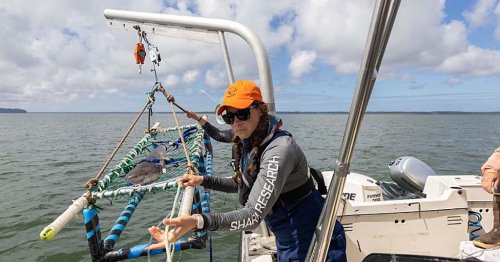 Here’s what we stand to lose from NOAA funding cuts