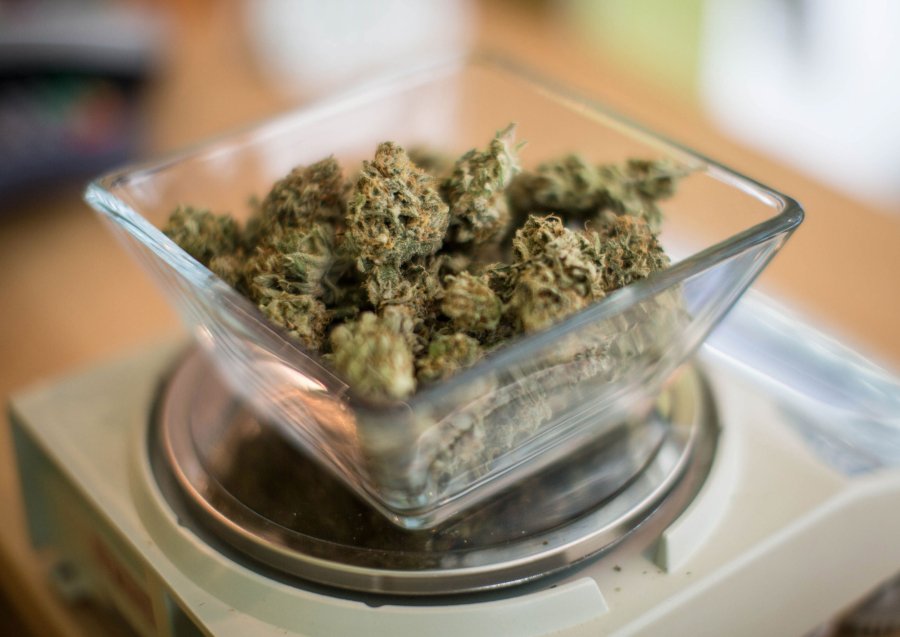 Canna Legalization & Politics - cover