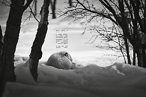Jeep “The Silent Edition” campaign