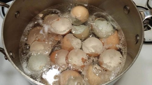 Pourquoi vous devriez faire bouillir les coquilles d’œufs au lieu de les mettre dans la poubelle