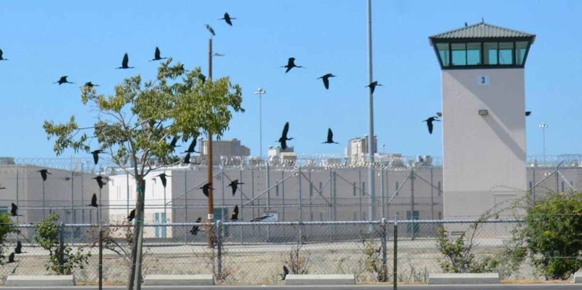 Prison Reform cover image