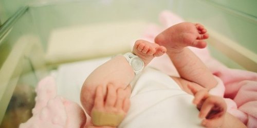 After Outrage, Trump Admin Backtracks on Requiring Maine Parents to Register Babies at Social Security Office