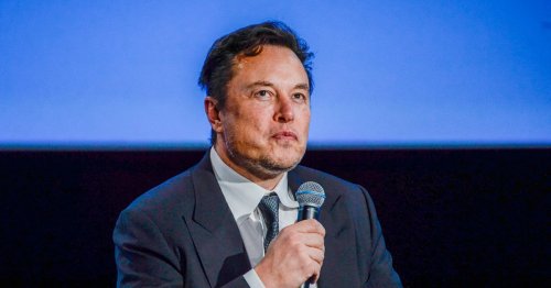The Not Very Smart Elon Musk