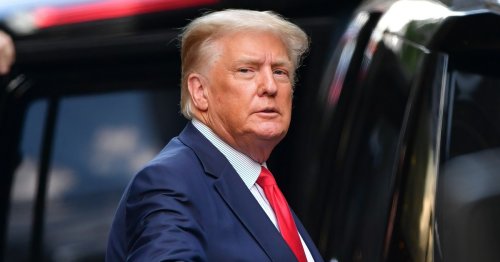 The Envy of Trump