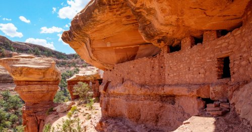 Frustrated Tribal Leaders Urge Biden to Immediately Restore Bears Ears Monument