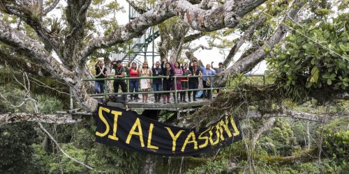 Can Climate Democracy Defeat the Oil Curse in Ecuador?