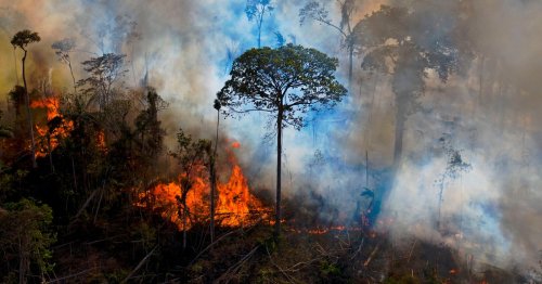 'Tipping Point of No Return' Feared as Amazon Rainforest Fires Surge