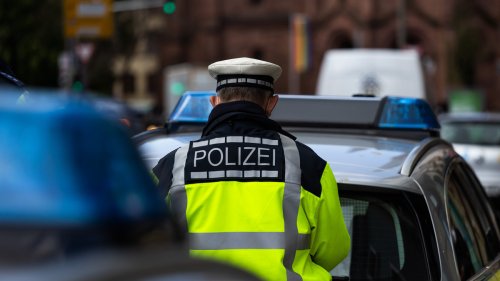Massive Bull Sperm Heist Has German Police Asking Public for Help