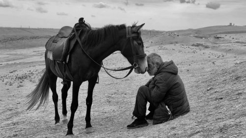IPPAWARDS: Tolle Fotos – geschossen mit dem Smartphone