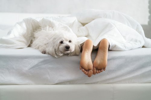 El curioso motivo por el que dejar los pies fuera de la manta puede ayudarte a dormir mejor