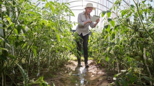 Smart Farming: Die Agritech-Revolution