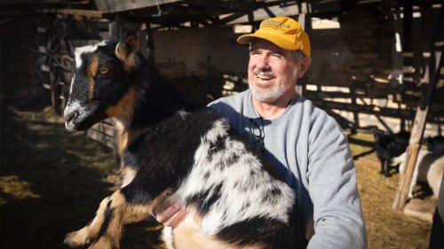 ‘Mountain goats’ in Kansas? One small town says no thanks