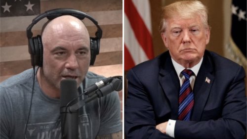 Joe Rogan refused to interview Trump: "I don't want to help him"