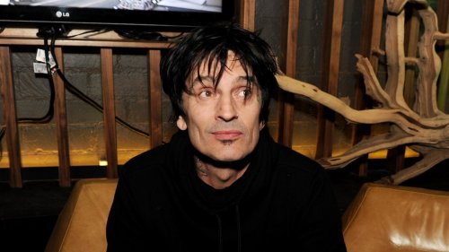 Tommy Lee flashes Twitter with another nude pic: "I'll bring the NUTZ!!!!"