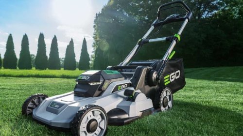 Best Battery Lawn Mowers—and the Worst