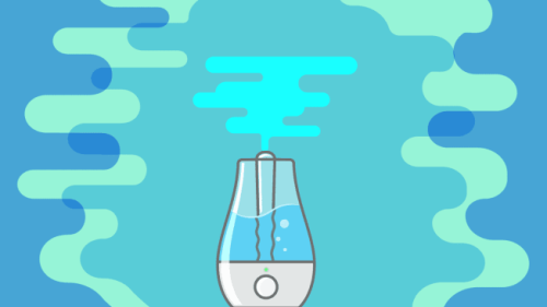Top Reasons to Buy a Cool-Mist Humidifier
