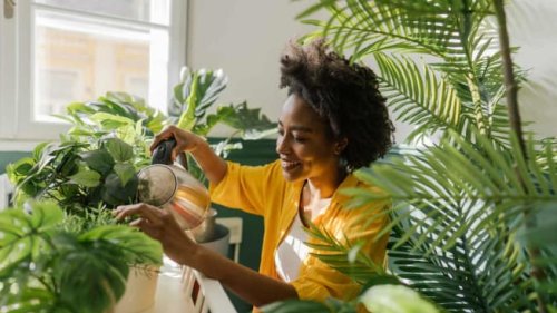 7 Plant-Care Staples to Help Your Greens Thrive