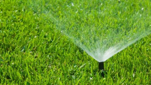 5 Things to Know Before You Buy a Smart Sprinkler Controller
