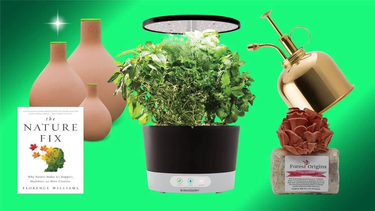 Gifts for Gardeners and Plant Lovers - Consumer Reports