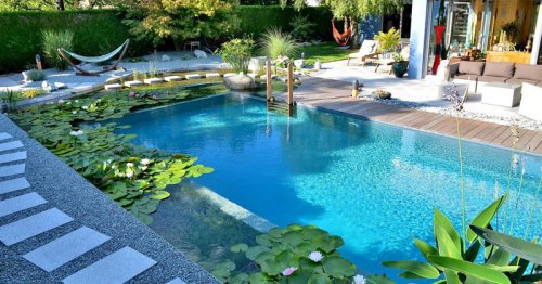 What Are Natural Swimming Pools?
