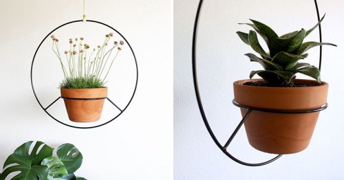 These Hanging Planters Are Designed To Put A Distinct Focus On Your Plants