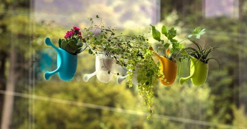 These cute little planters are designed to stick to almost any surface like a gecko