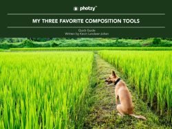 Transform Your Photos with These 4 Free Composition Guides