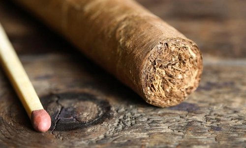 The Best Cigars For Beginners