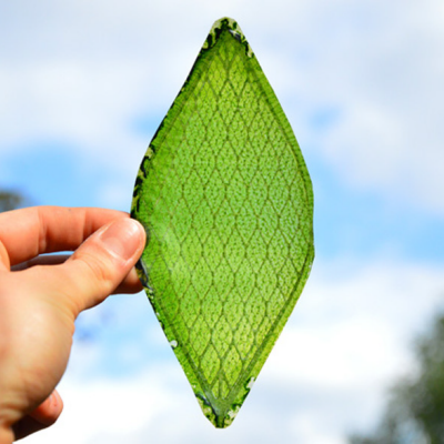Breaking: Art Student Makes Synthetic Leaf, Solves Everything - Core77