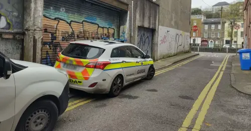 CCTV may prove crucial in finding culprit after violent break-in in Cork city