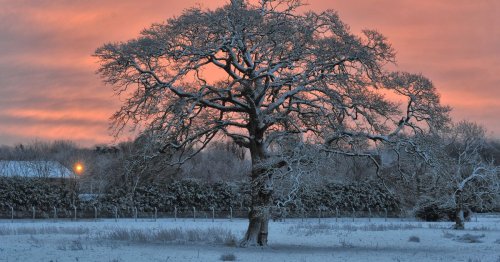 Cork weather: Met Eireann forecast 'wintry showers' to bring bitterly cold few days