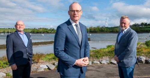 Simon Coveney issues warning over 'concerning' Delta Variant spread in the UK