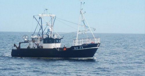 Scalloper fined thousands for illegal Cornwall fishing