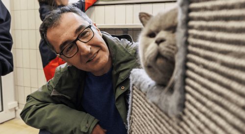 Nein, Landwirtschaftsminister Cem Özdemir will Katzen als Haustiere nicht verbieten