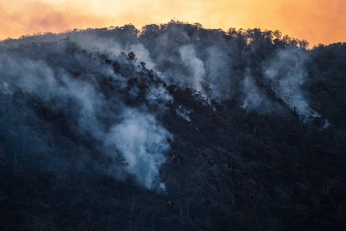 Weniger Waldbrände und mehr Regen widersprechen dem Klimawandel? Dieser Behauptung fehlt Kontext