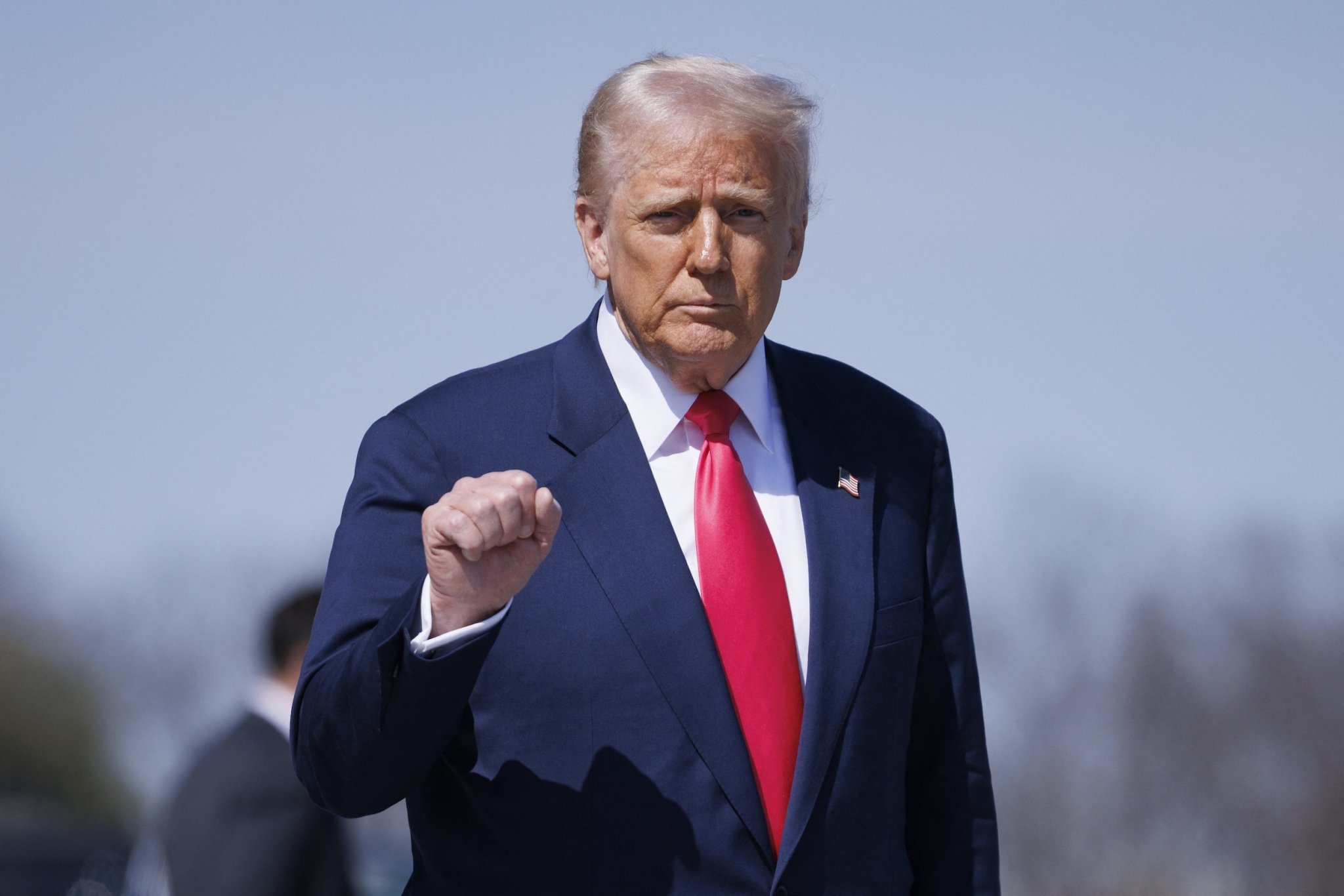Trumps Vordenker im Bundestag