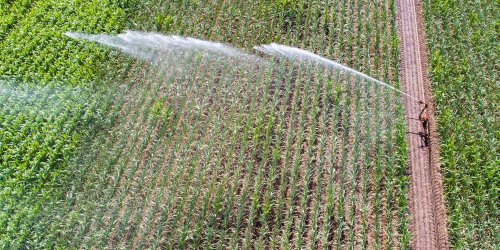 Wasser: Konsum der Landwirtschaft massiv unterschätzt