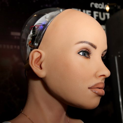Erotik 2.0: Sex mit einem Roboter - top oder flop?