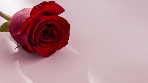 "Die Bachelors" 2025: Diese 26 Kandidatinnen kämpfen ab Juni um ihre Herzen!