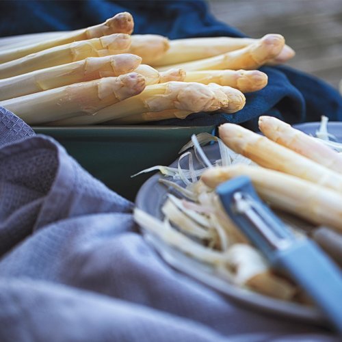 Gesundheit DAS passiert, wenn man zu viel Spargel isst Flipboard