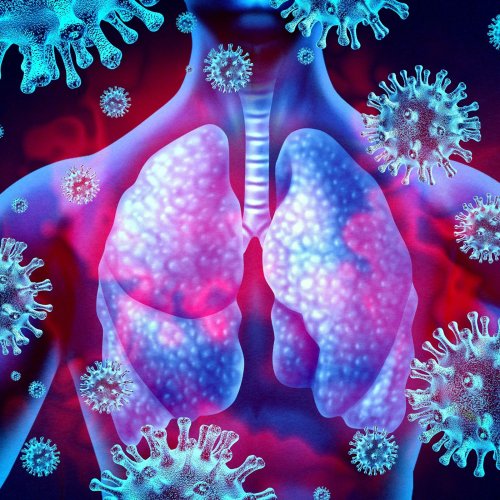 Laut Studie: So zerstört das Coronavirus die Lunge