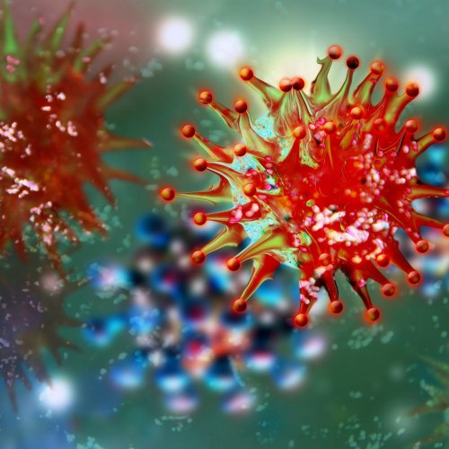 Gefährlicher Virus-Strang durchgesetzt – Behörde warnt vor nächster Epidemie