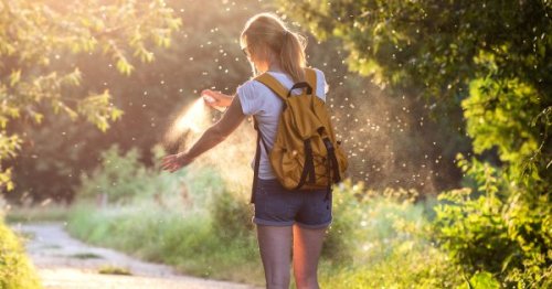 8 astuces pour éloigner les moustiques