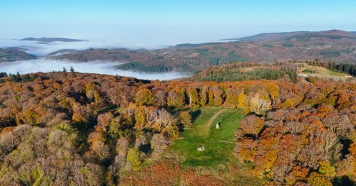 Même en pleine canicule, ce massif montagneux de Bourgogne reste frais : la destination idéale de l'été