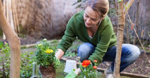 Plébiscité par 60 Millions de consommateurs, cet insecticide est le meilleur pour votre jardin